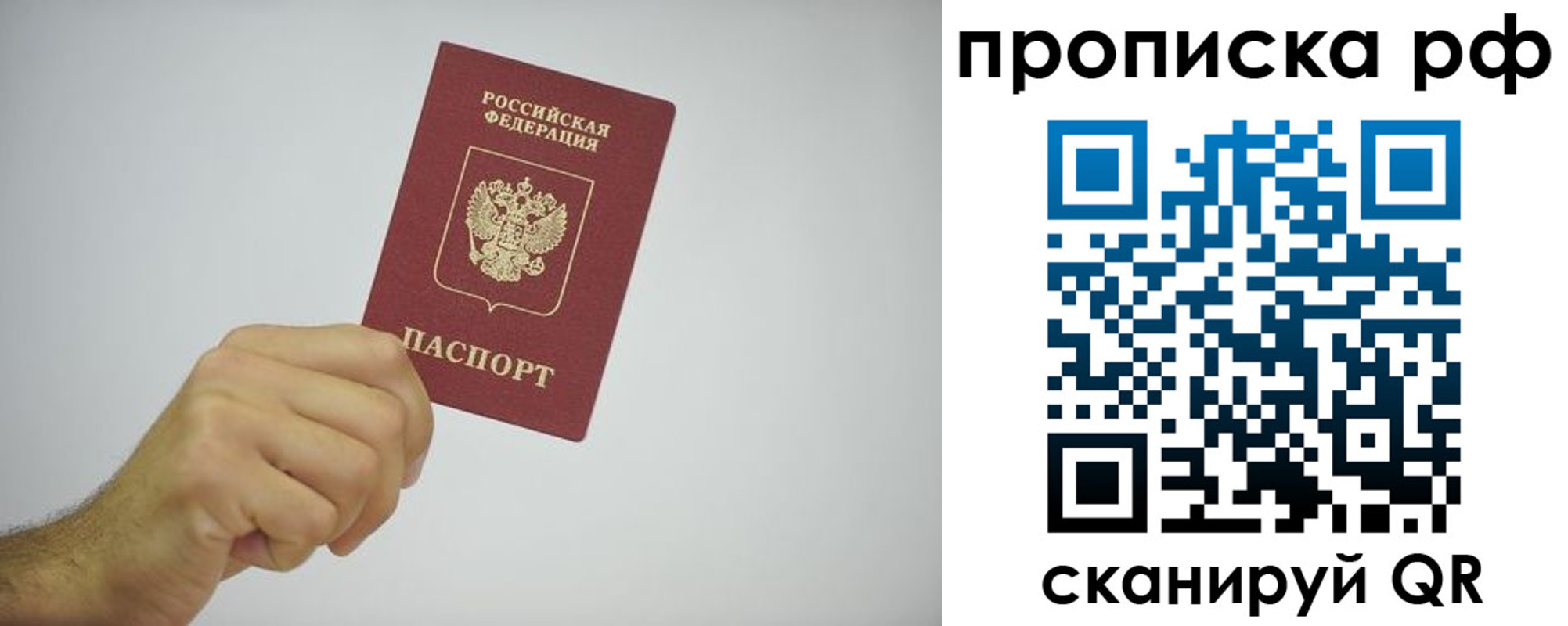 прописка в квартире в Ермолино